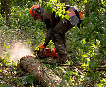 Chainsaw Cutting