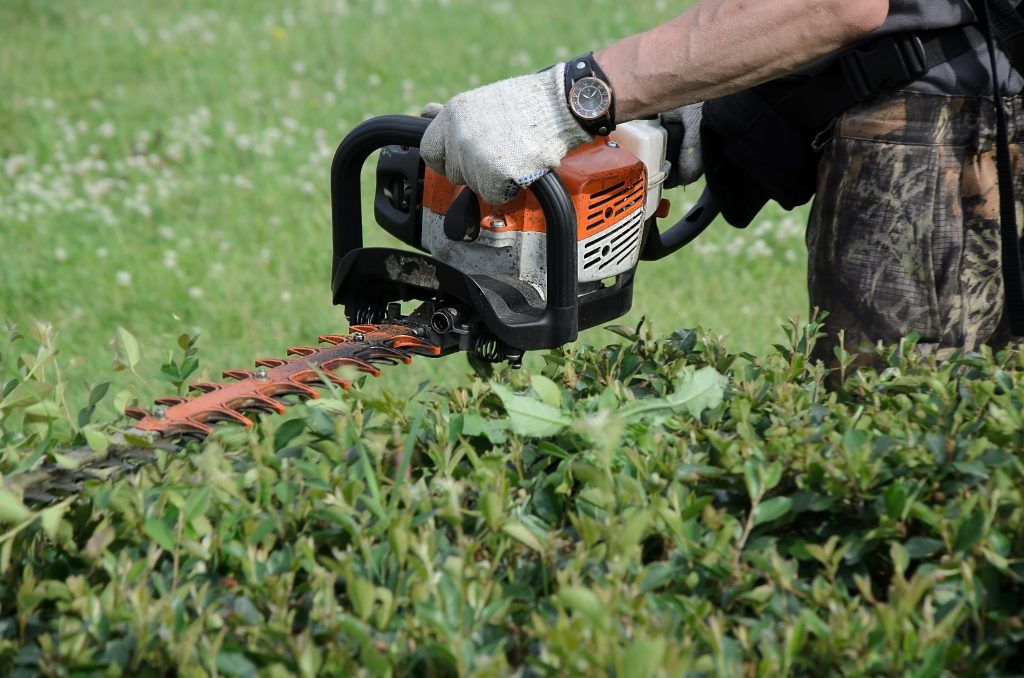 Chainsaw Cutting