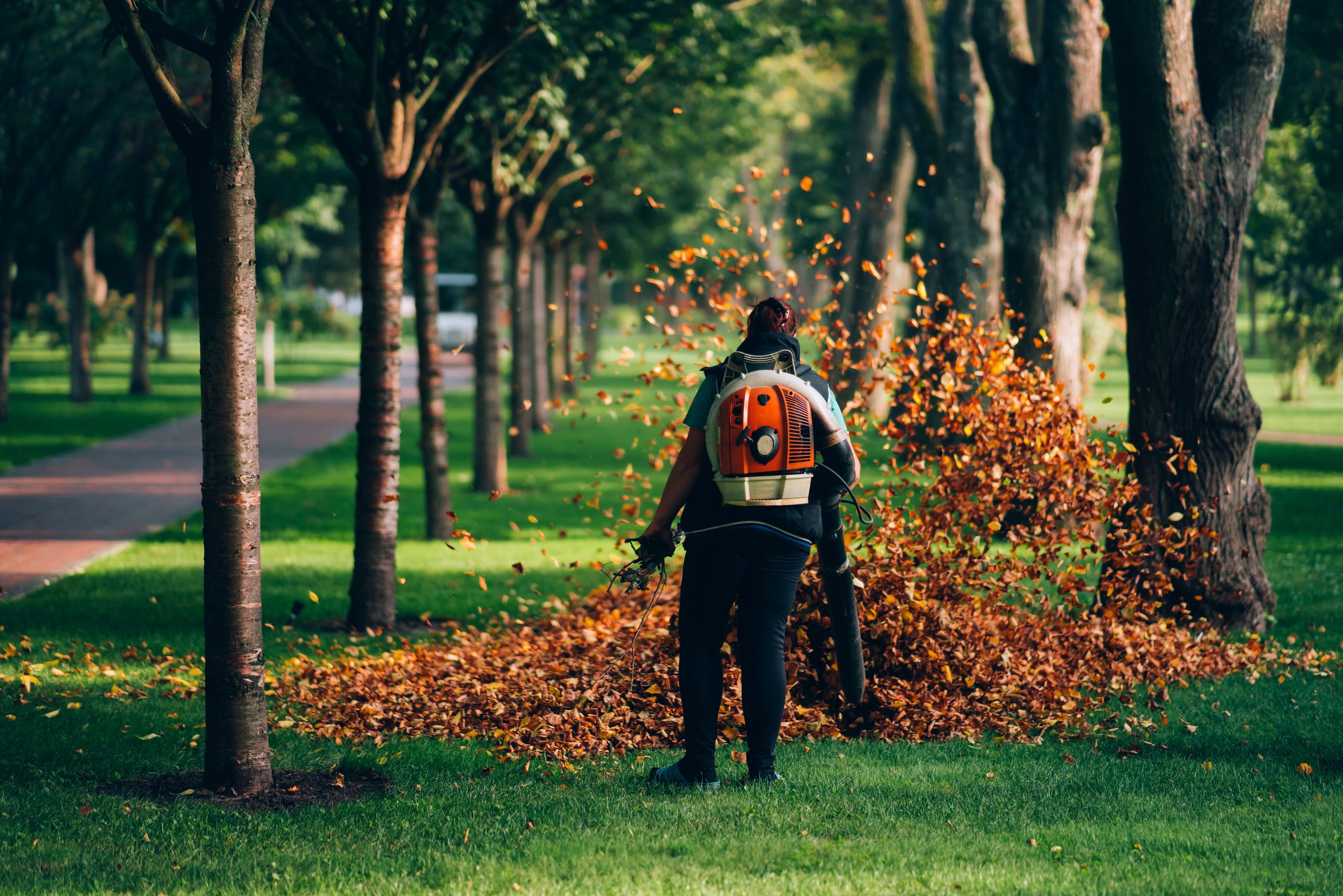 Leaf Blowers