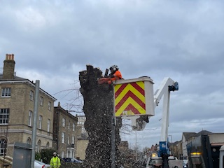 Chainsaw from a Mobile Elevating Work Platform (C&G NPTC) 0039-38