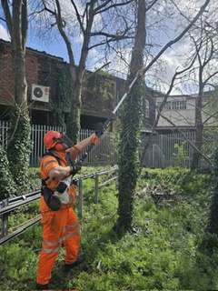 Powered Pole Pruner (Lantra awards)