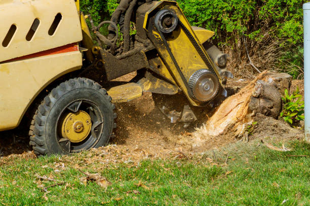 Stump Grinders (C&G NPTC) 0020-59