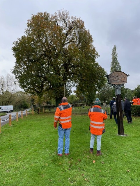 Tree Survey and Inspection (Lantra Awards)