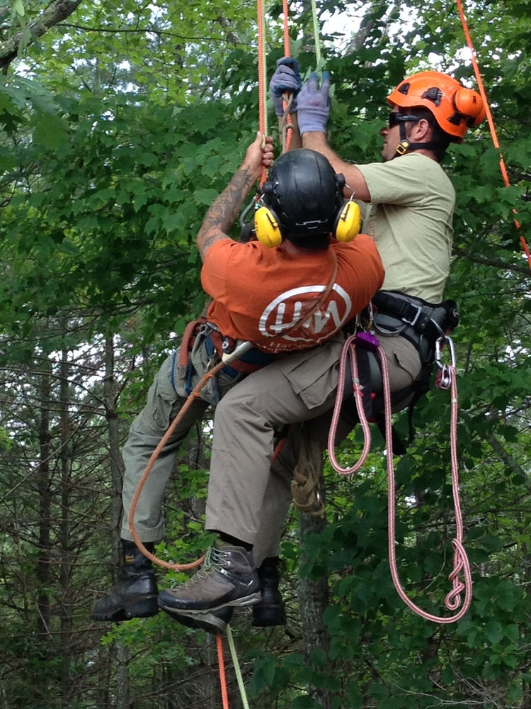 Climbing Trees and Aerial Rescue (C&G NPTC) 0039-22