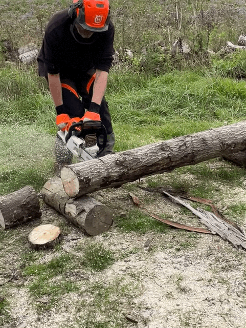 CPD Module - Chainsaw Maintenance and Crosscutting (C&G NPTC) 0041-01