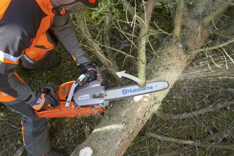 CPD Module - Felling Trees up to 380mm (C&G NPTC) 0041-02