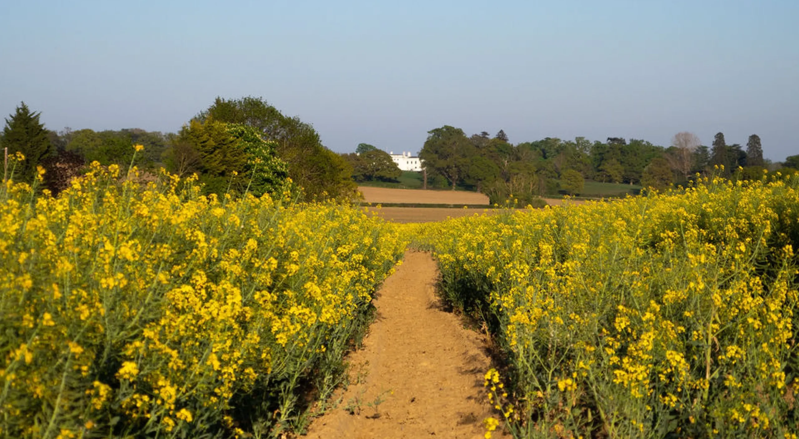 Pesticide Application